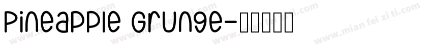 Pineapple Grunge字体转换